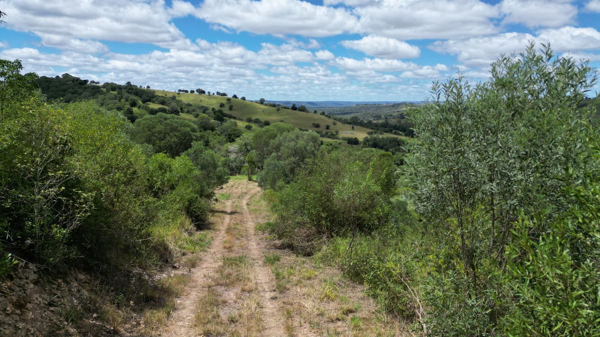304 Mercer Springate Road, East Nanango QLD 4615, East Nanango - Thumbnail 5