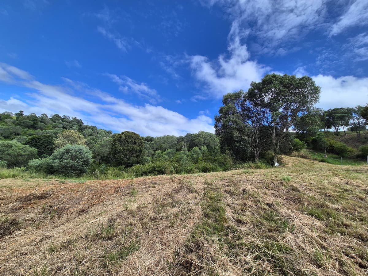 304 Mercer Springate Road, East Nanango QLD 4615, East Nanango - Thumbnail 8