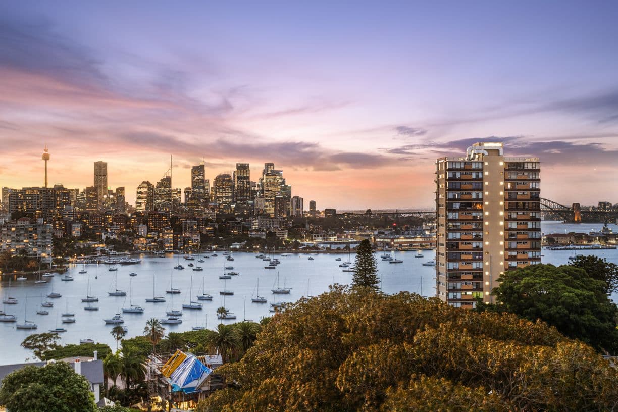 63/66 Darling Point Road, Darling Point, NSW 2027, Darling Point - Thumbnail 3