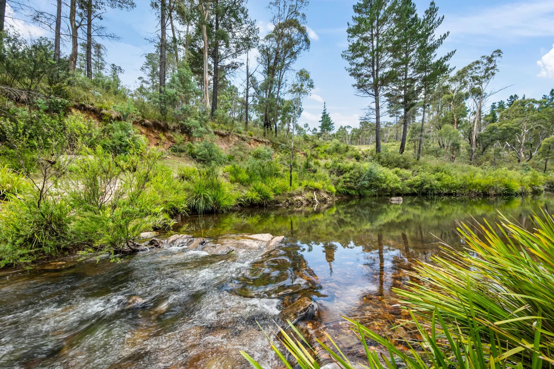 7288 Nerriga Road, Braidwood, NSW, Braidwood - Thumbnail 2
