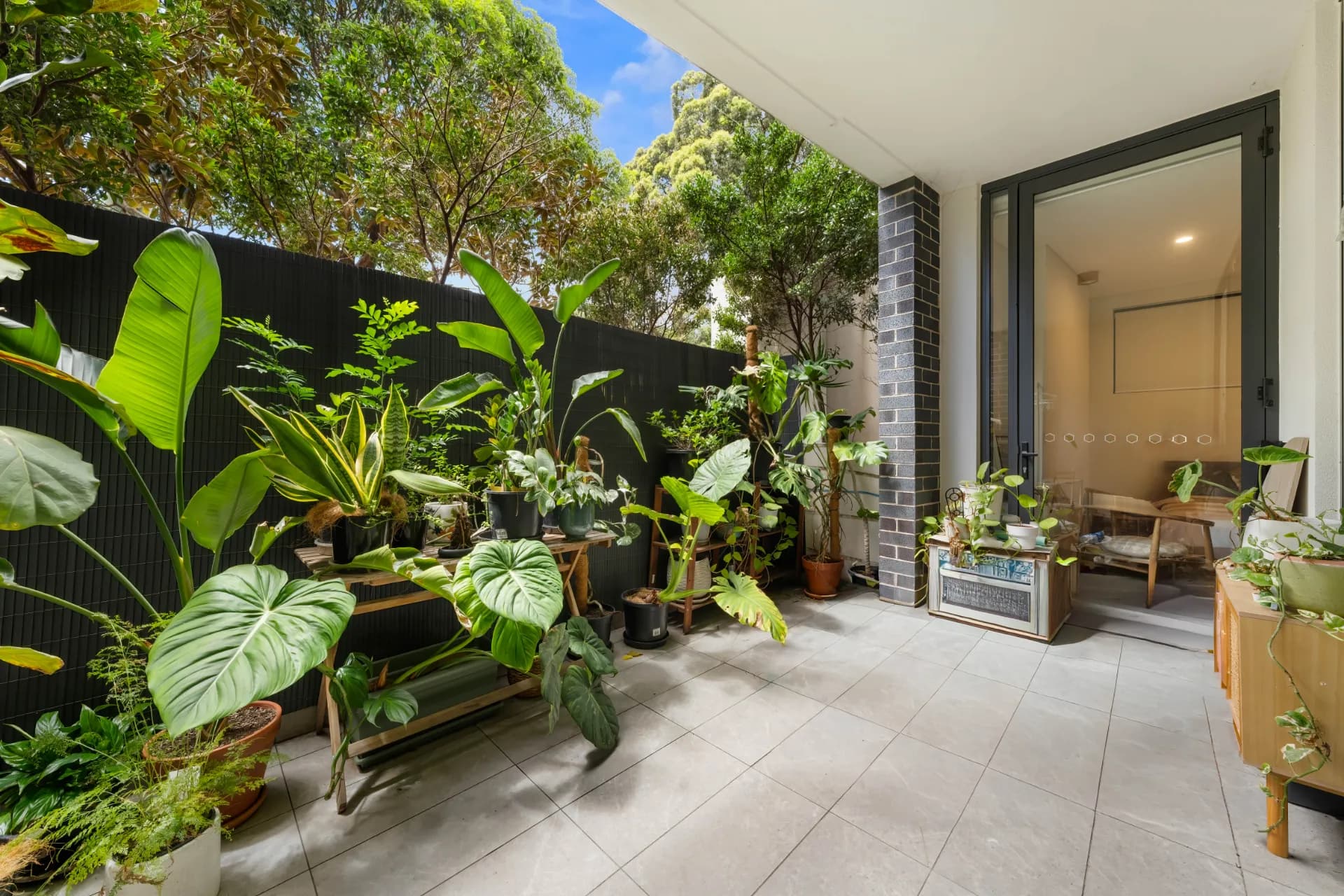G04/2-4 Murrell Street, Ashfield, NSW, Ashfield - Thumbnail 6