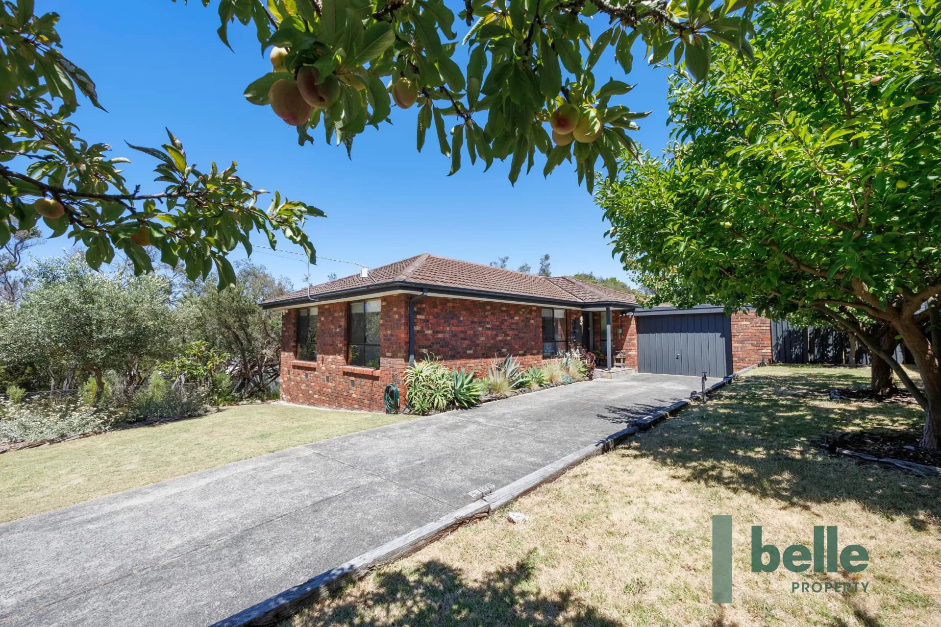 8 Hillcrest  Drive, Tootgarook - Image 1