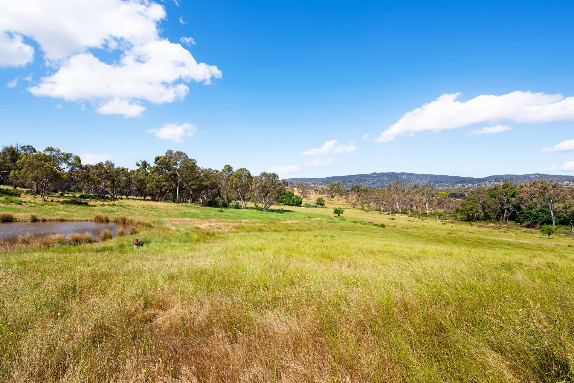 Lot 3 Victoria Road, Harcourt - Thumbnail 2