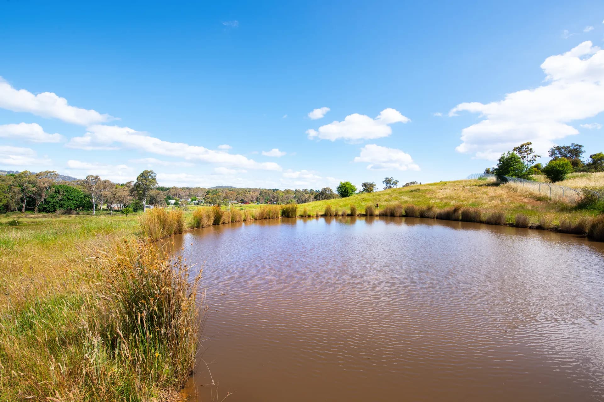Lot 3 Victoria Road, Harcourt - Thumbnail 3