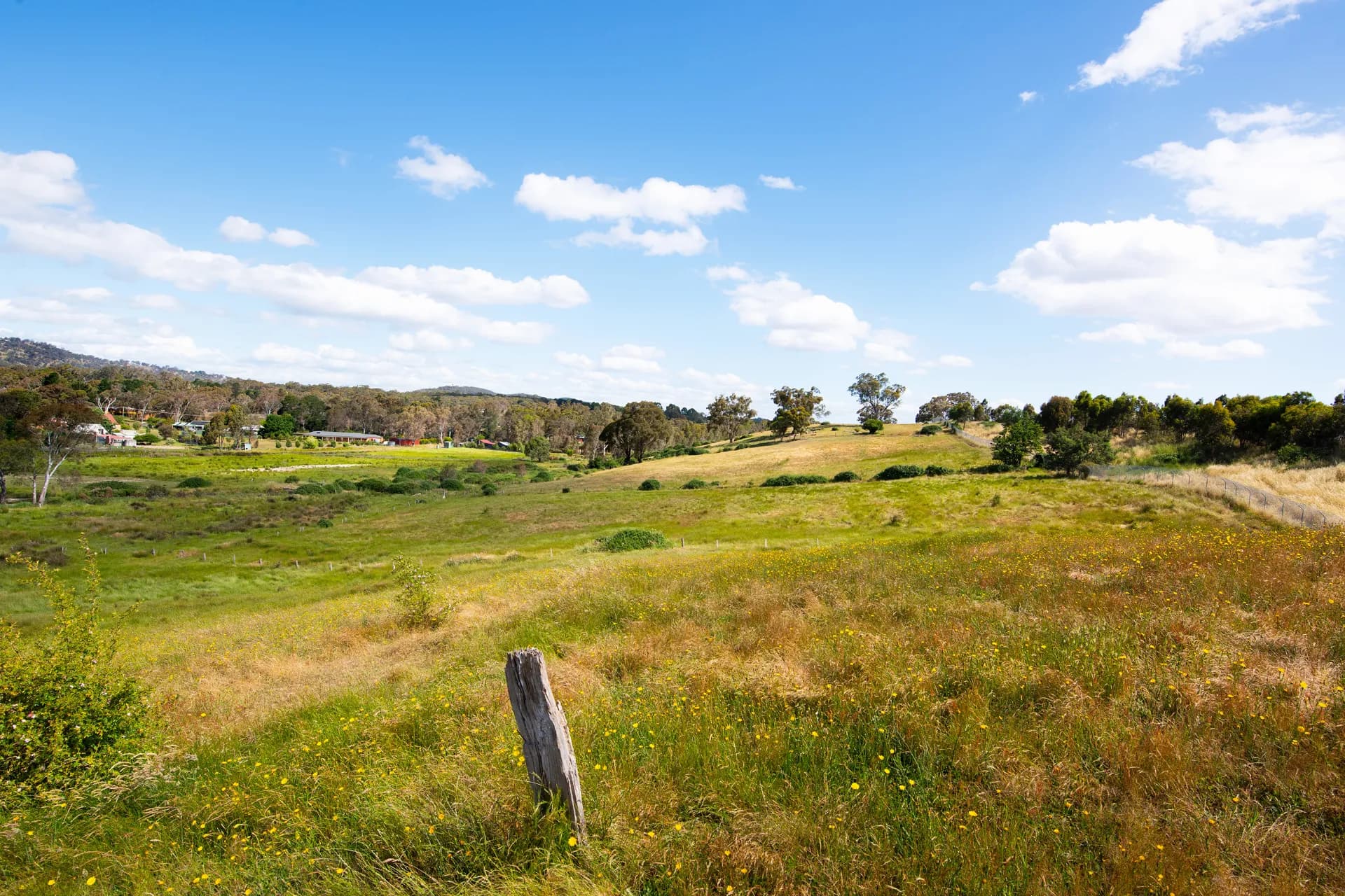 Lot 3 Victoria Road, Harcourt - Thumbnail 4