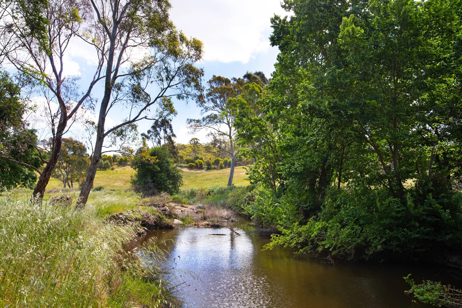 Lot 3 Victoria Road, Harcourt - Thumbnail 5