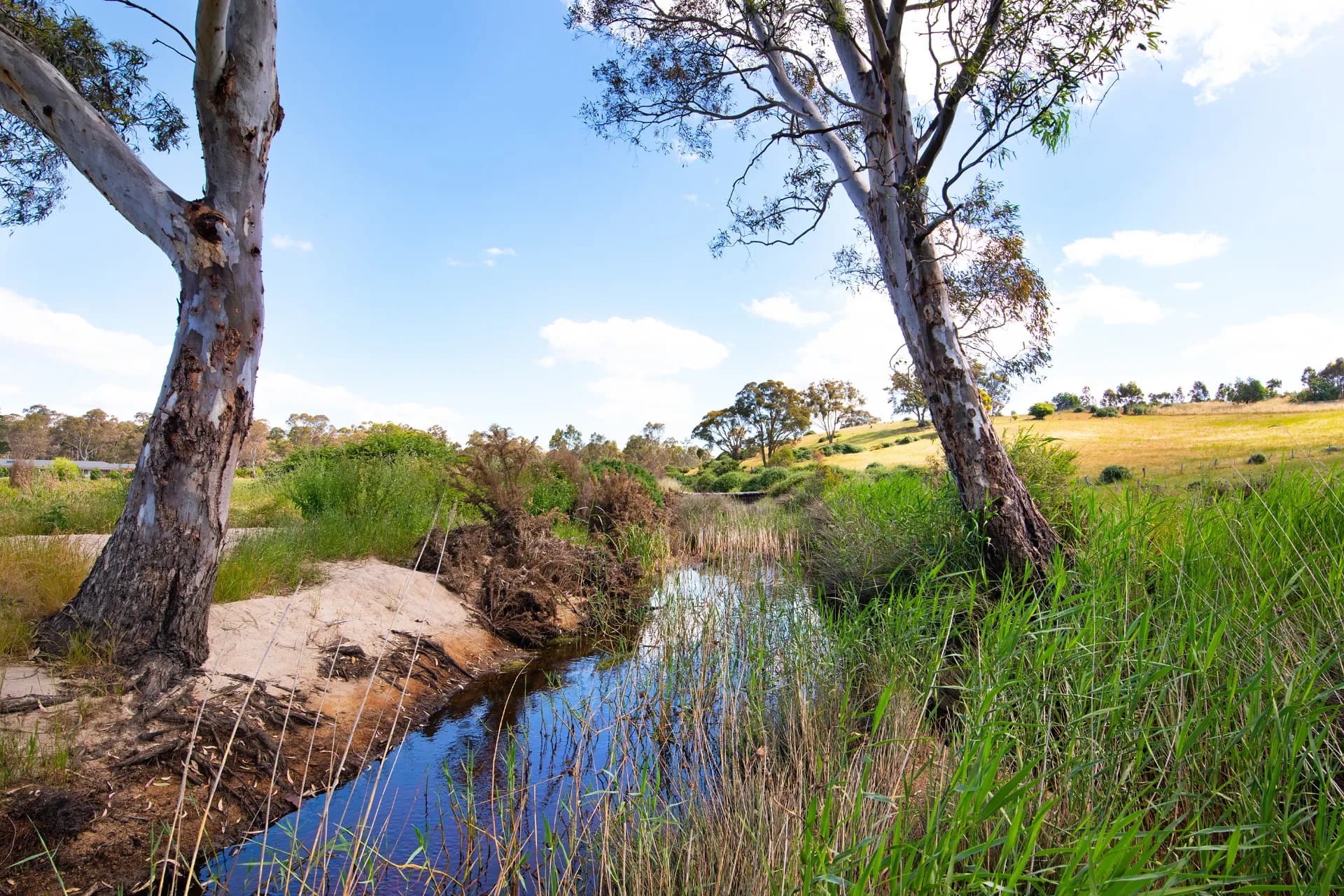 Lot 3 Victoria Road, Harcourt - Thumbnail 6