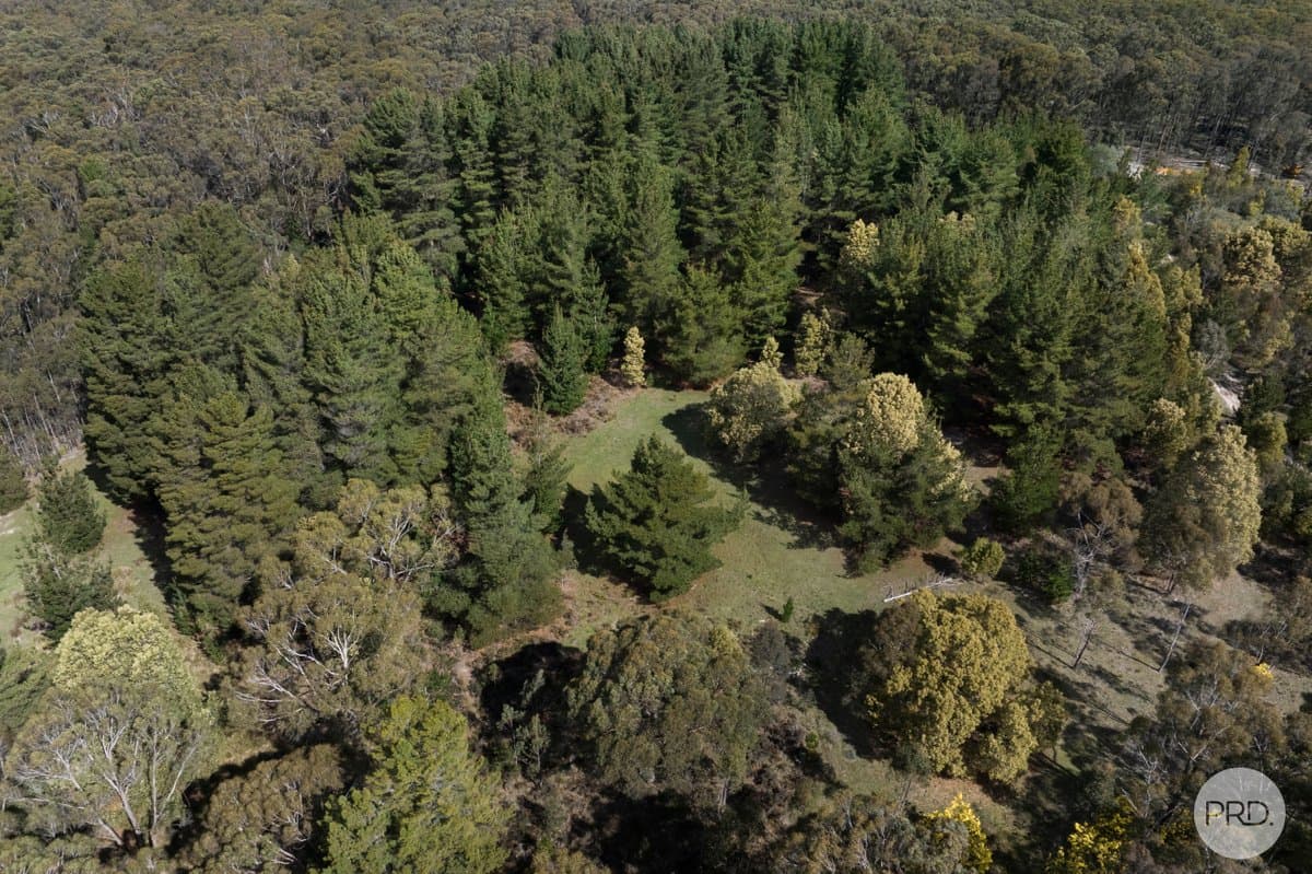 75 Stringybark Track, MOLLONGGHIP VIC 3352, Mollongghip - Thumbnail 3