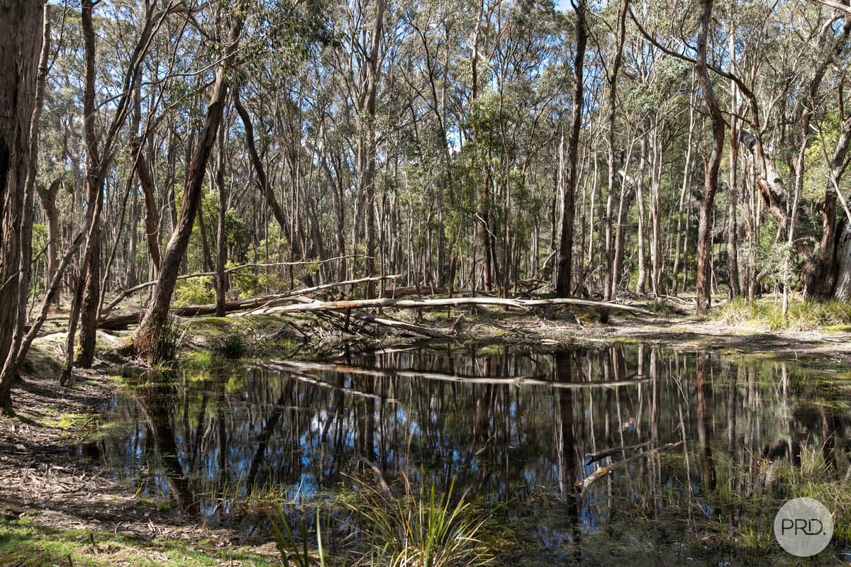 75 Stringybark Track, MOLLONGGHIP VIC 3352, Mollongghip - Thumbnail 5