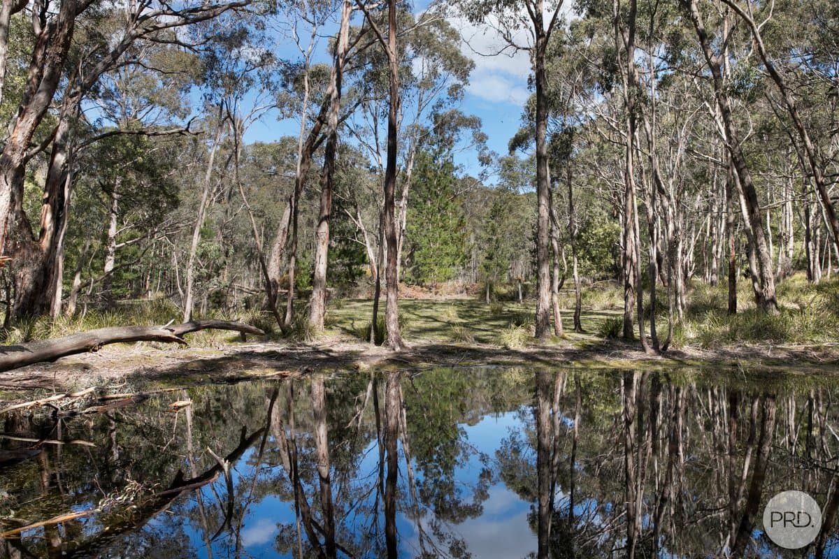 75 Stringybark Track, MOLLONGGHIP VIC 3352, Mollongghip - Thumbnail 6