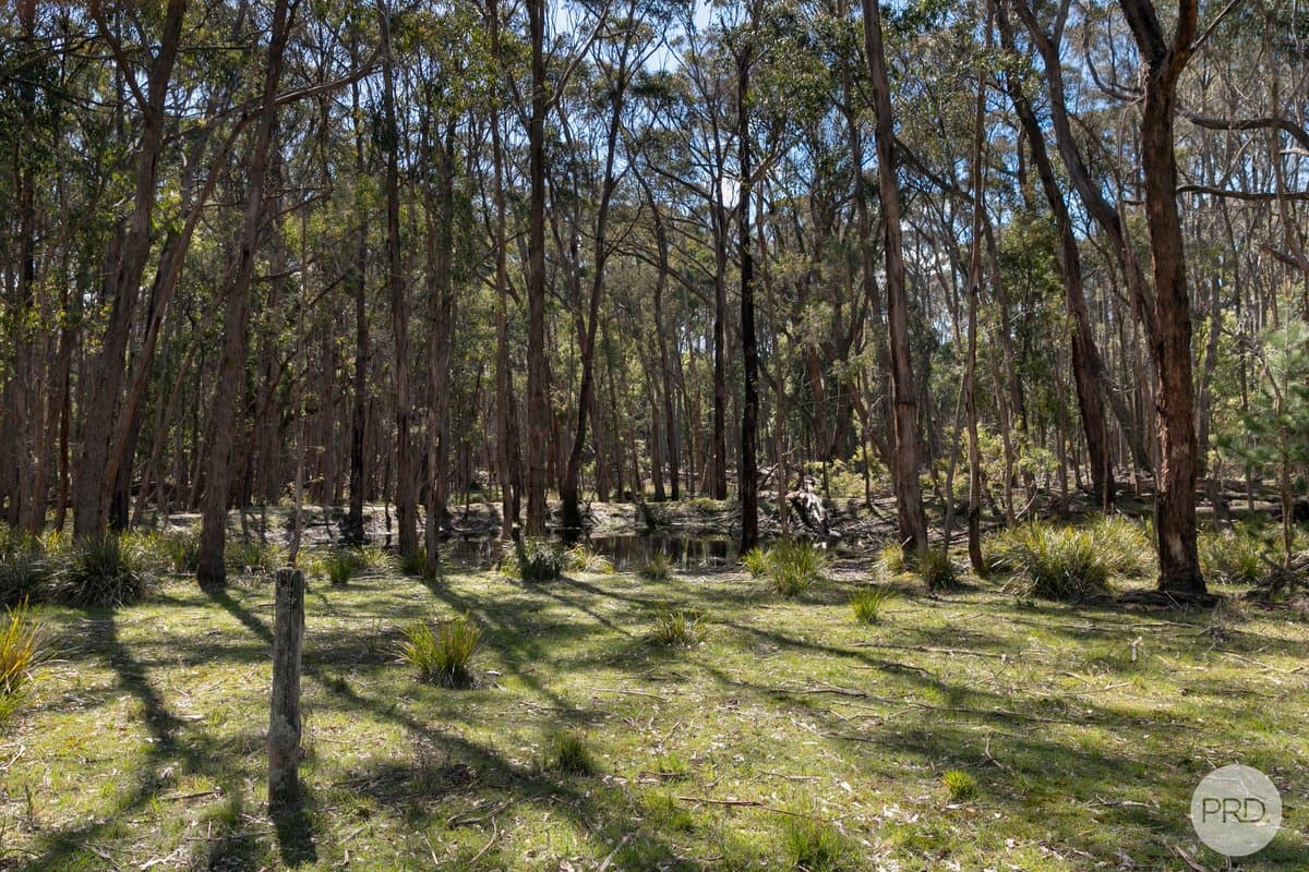 75 Stringybark Track, MOLLONGGHIP VIC 3352, Mollongghip - Thumbnail 7