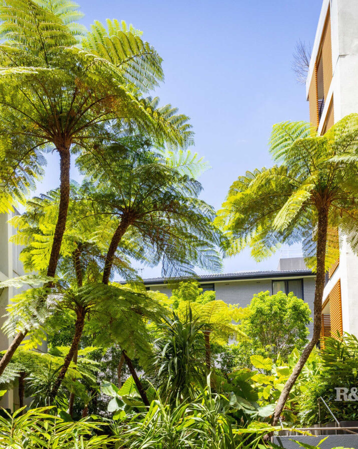 3/9-15 Ascot Street Kensington, Kensington - Thumbnail 3