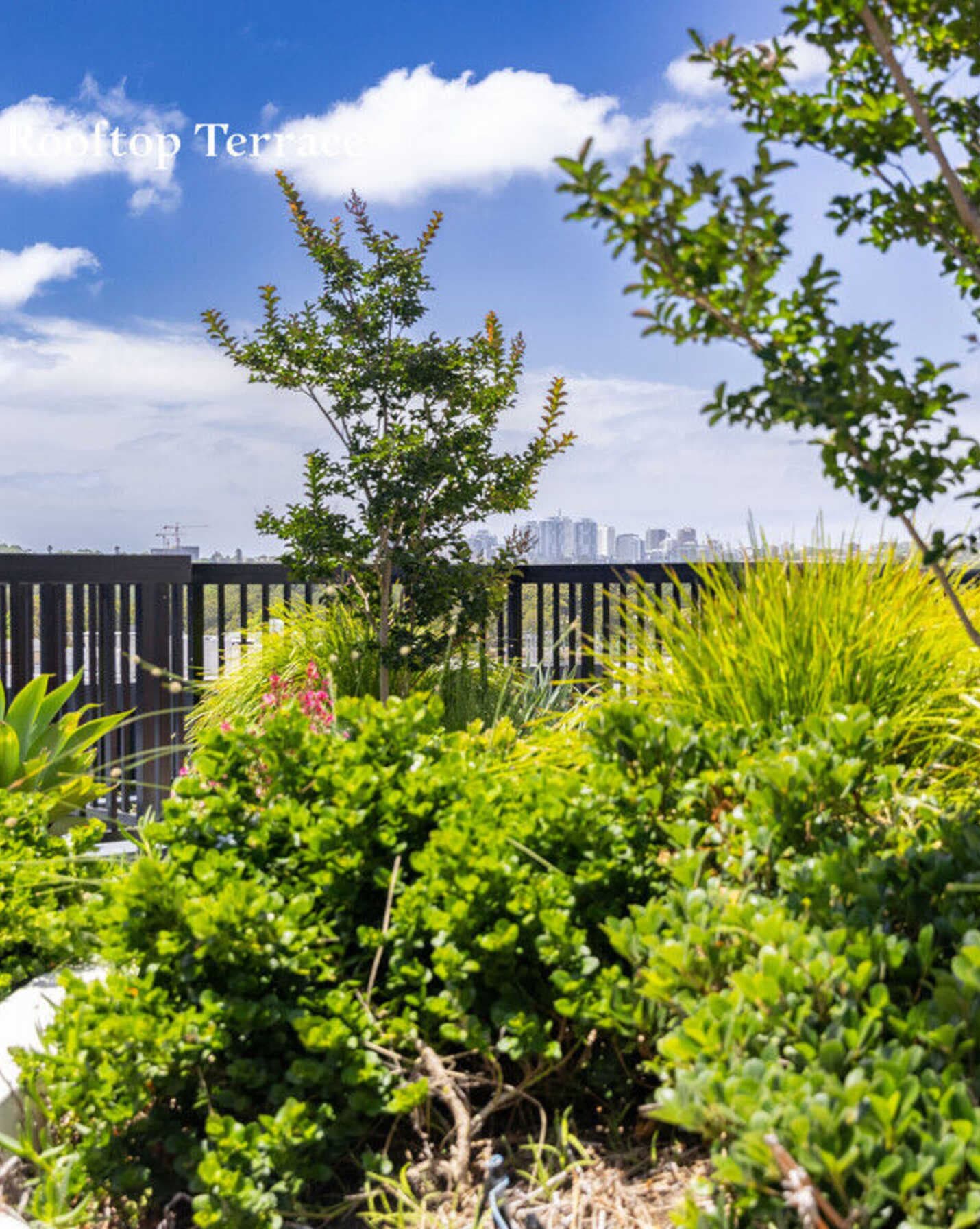 3/9-15 Ascot Street Kensington, Kensington - Thumbnail 8