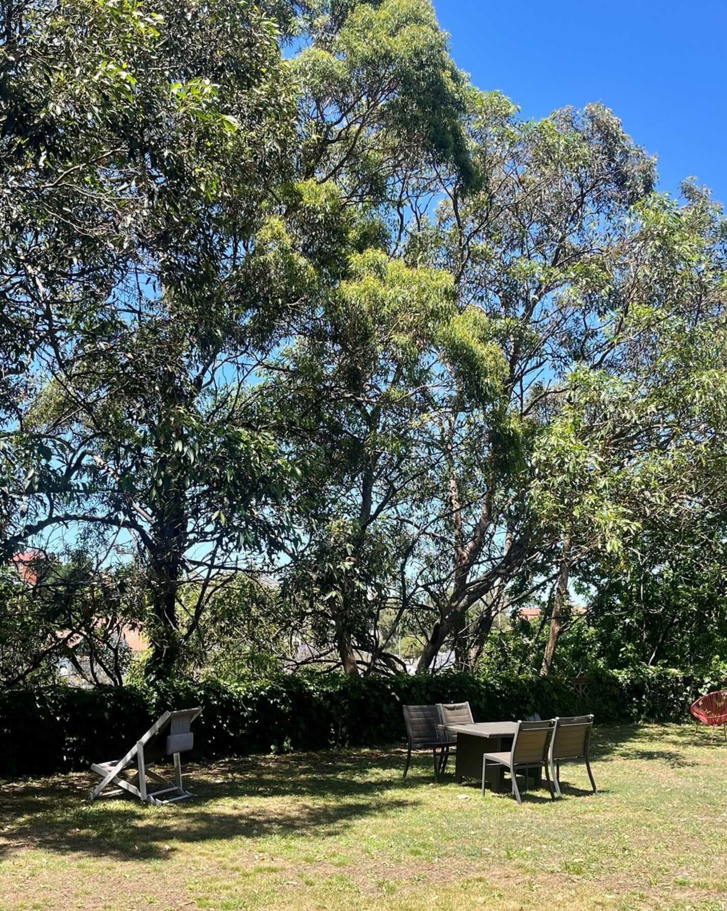 21/59 Lower Bent Street Neutral Bay, Bay - Thumbnail 7
