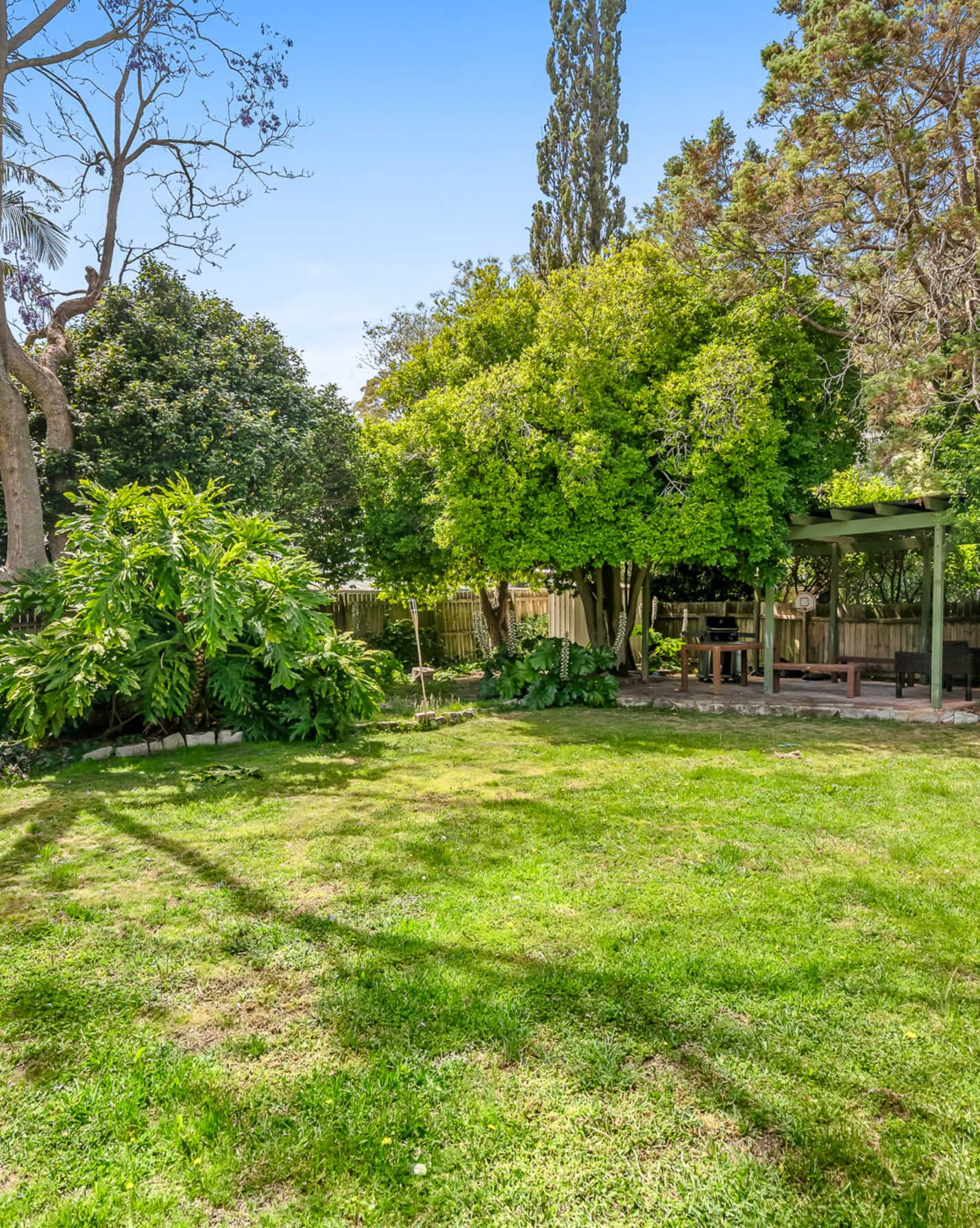 155 ARCHER STREET Roseville, Roseville - Thumbnail 7