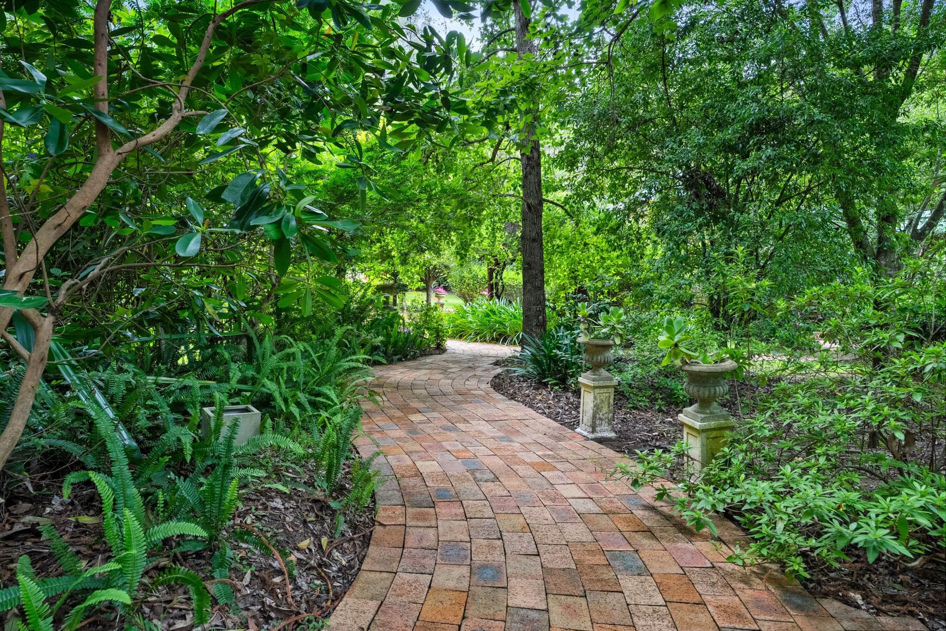 6 Buangi Road, Durren Durren NSW, Durren Durren - Thumbnail 7