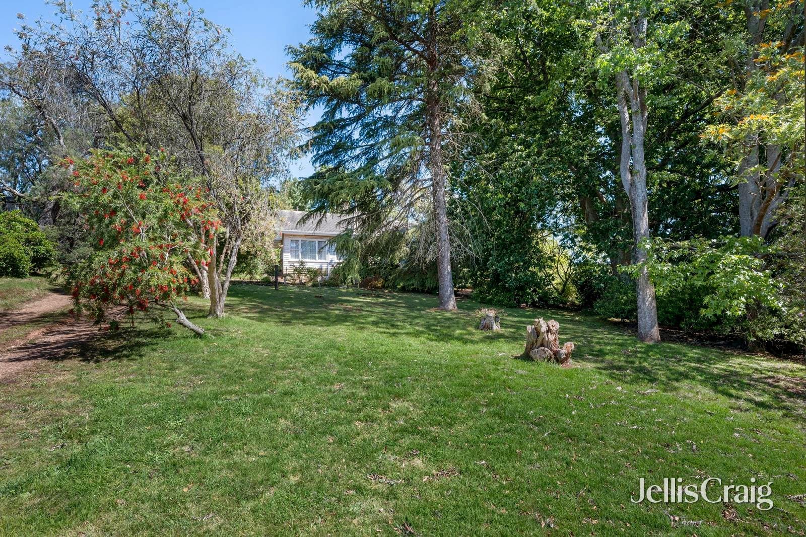 350 Clegg Road, Wandin North, Wandin North - Image 1