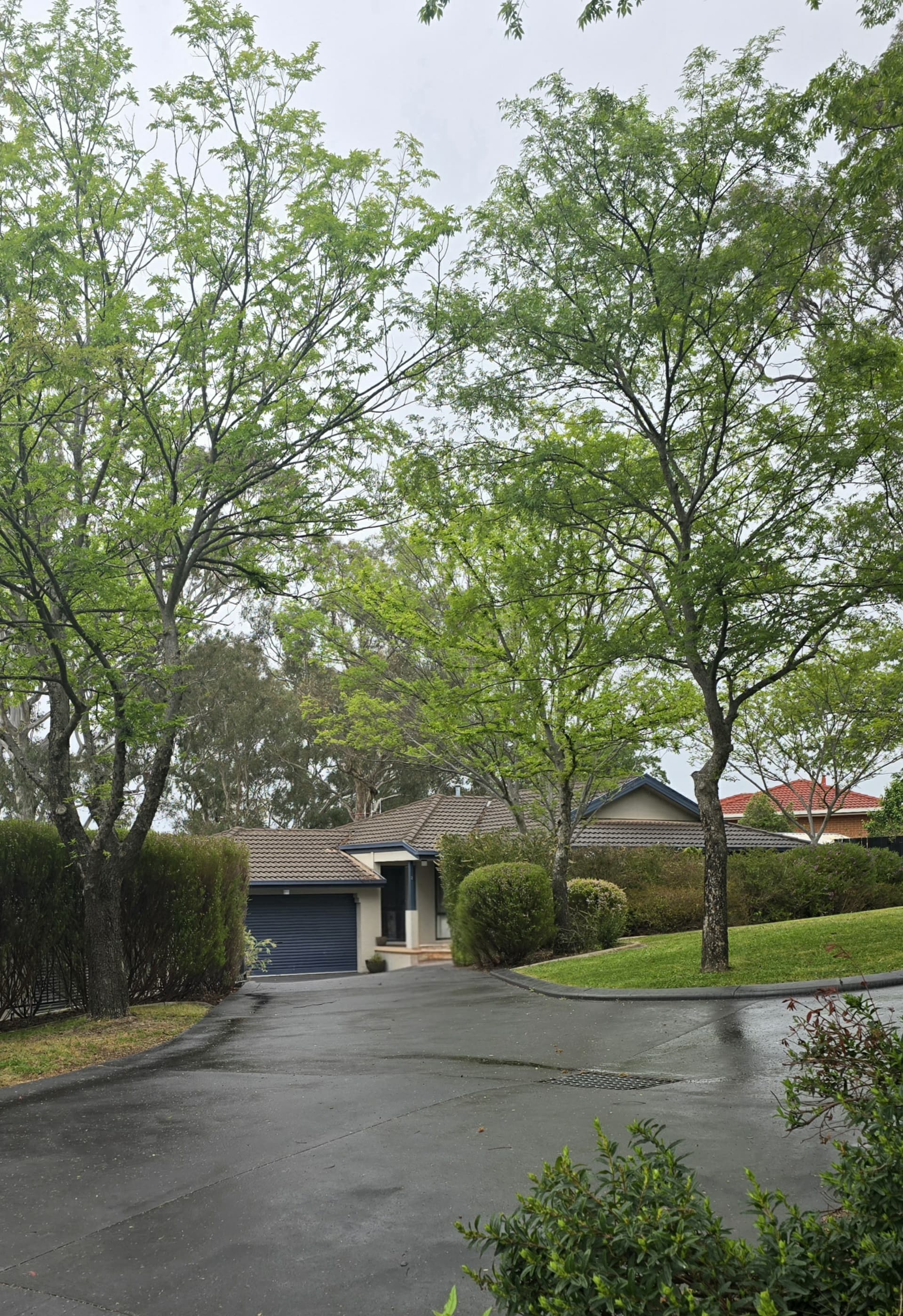 2/34 Proserpine Circuit, Amaroo, Amaroo - Image 1
