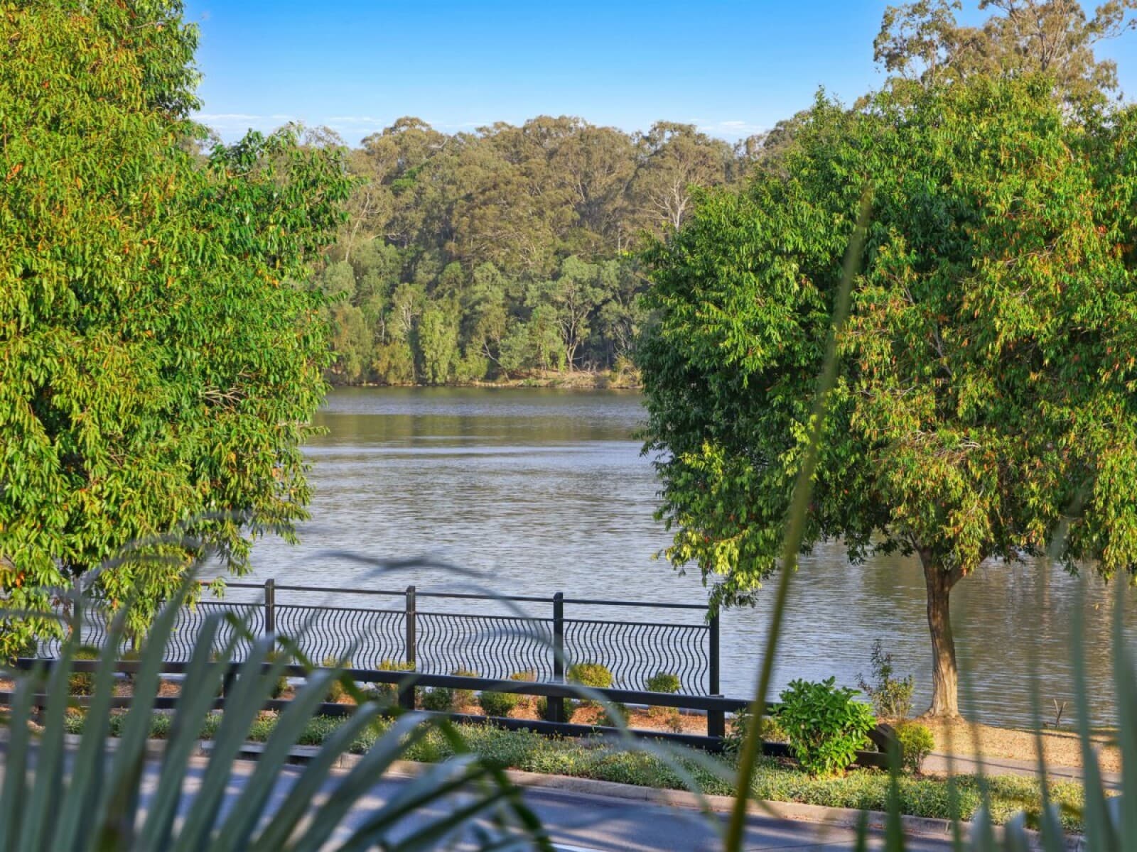 4/12 Azzurra Drive Varsity Lakes QLD 4227, Varsity Lakes - Thumbnail 4