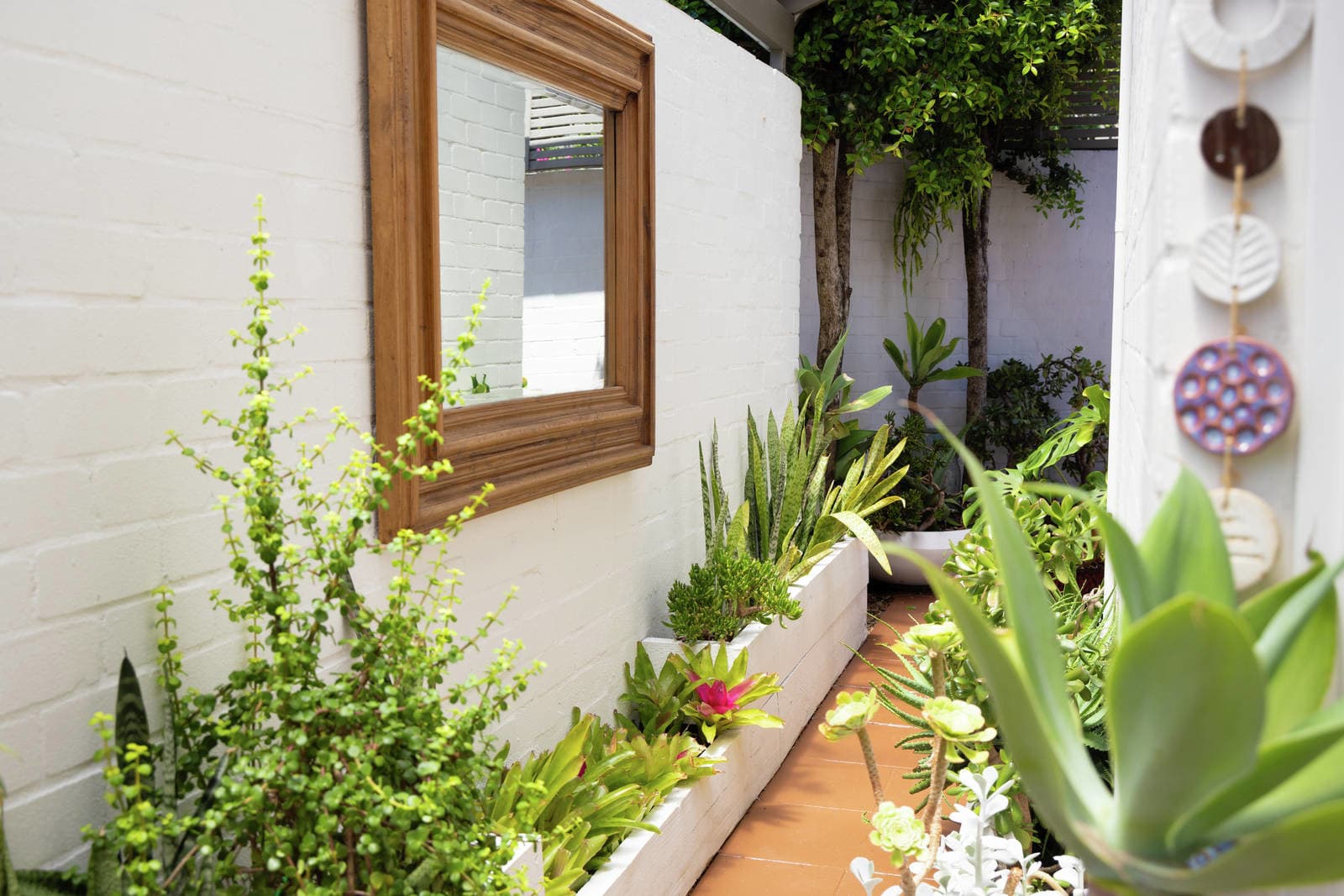 1/1A Fernhurst Avenue, Cremorne, Cremorne - Thumbnail 4