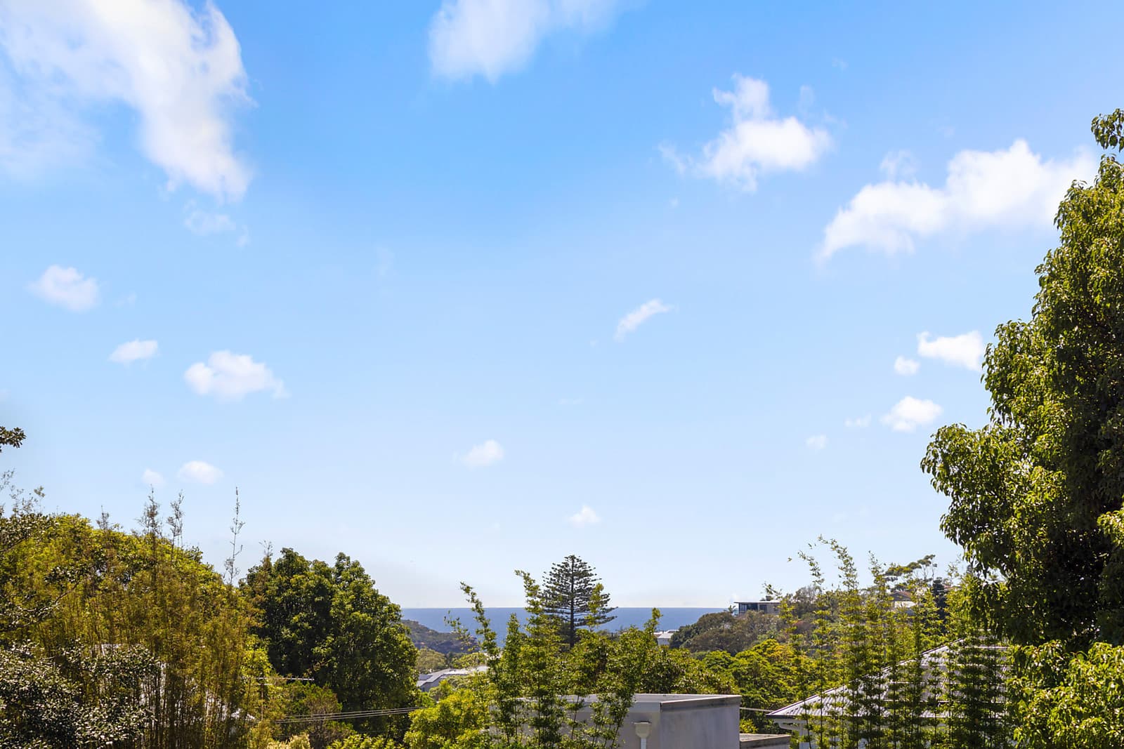 125 Harbord Road, Freshwater, Freshwater - Thumbnail 3