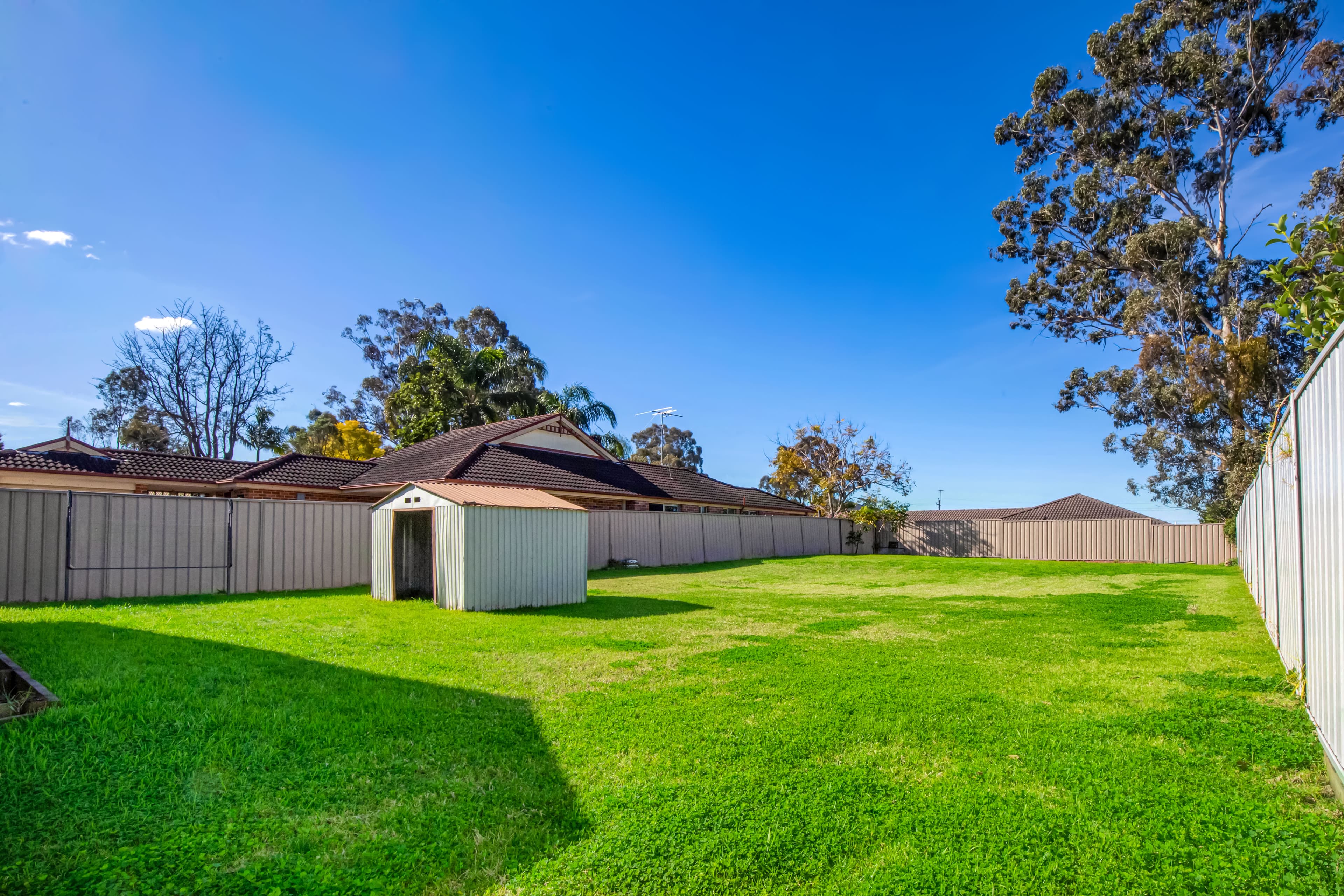 56 Wyndora Avenue, Freshwater, Freshwater - Thumbnail 8