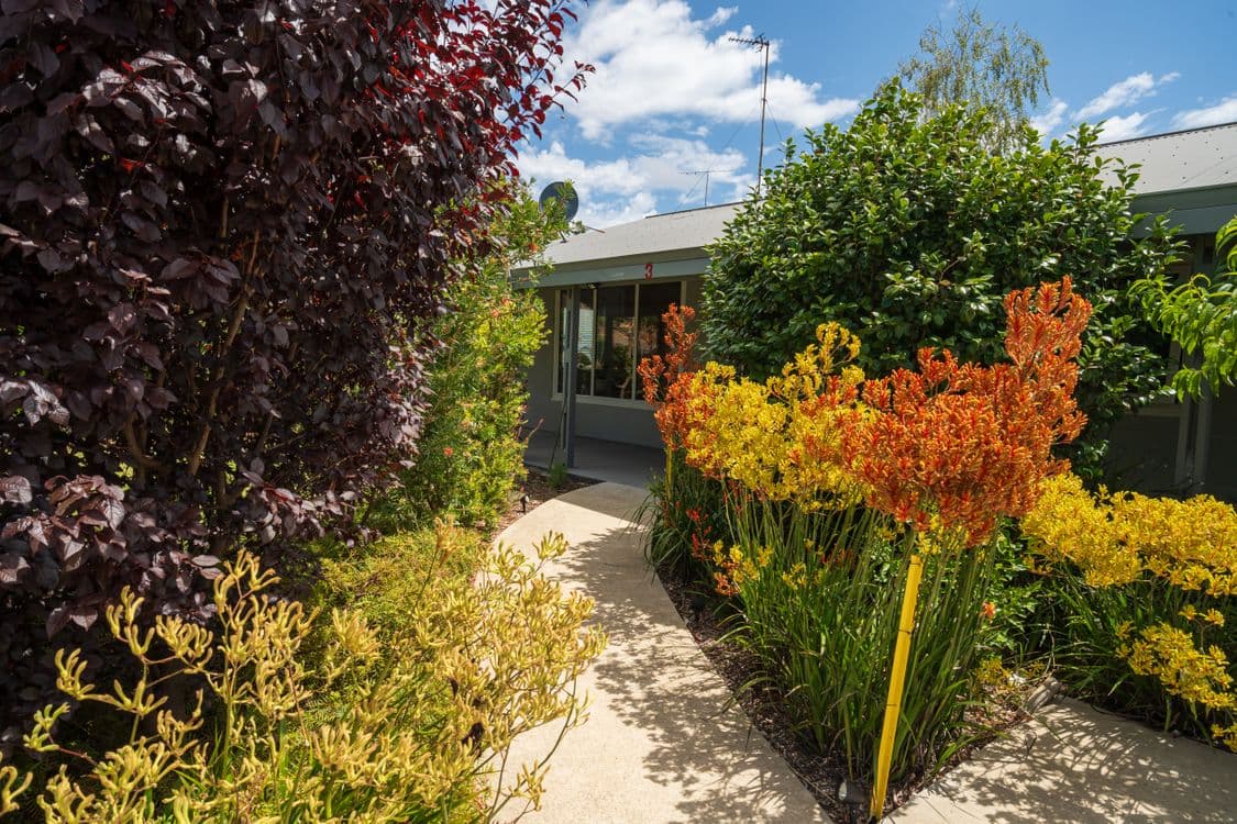 3 Somerville Street, MANJIMUP, WA 6258, Manjimup - Image 1
