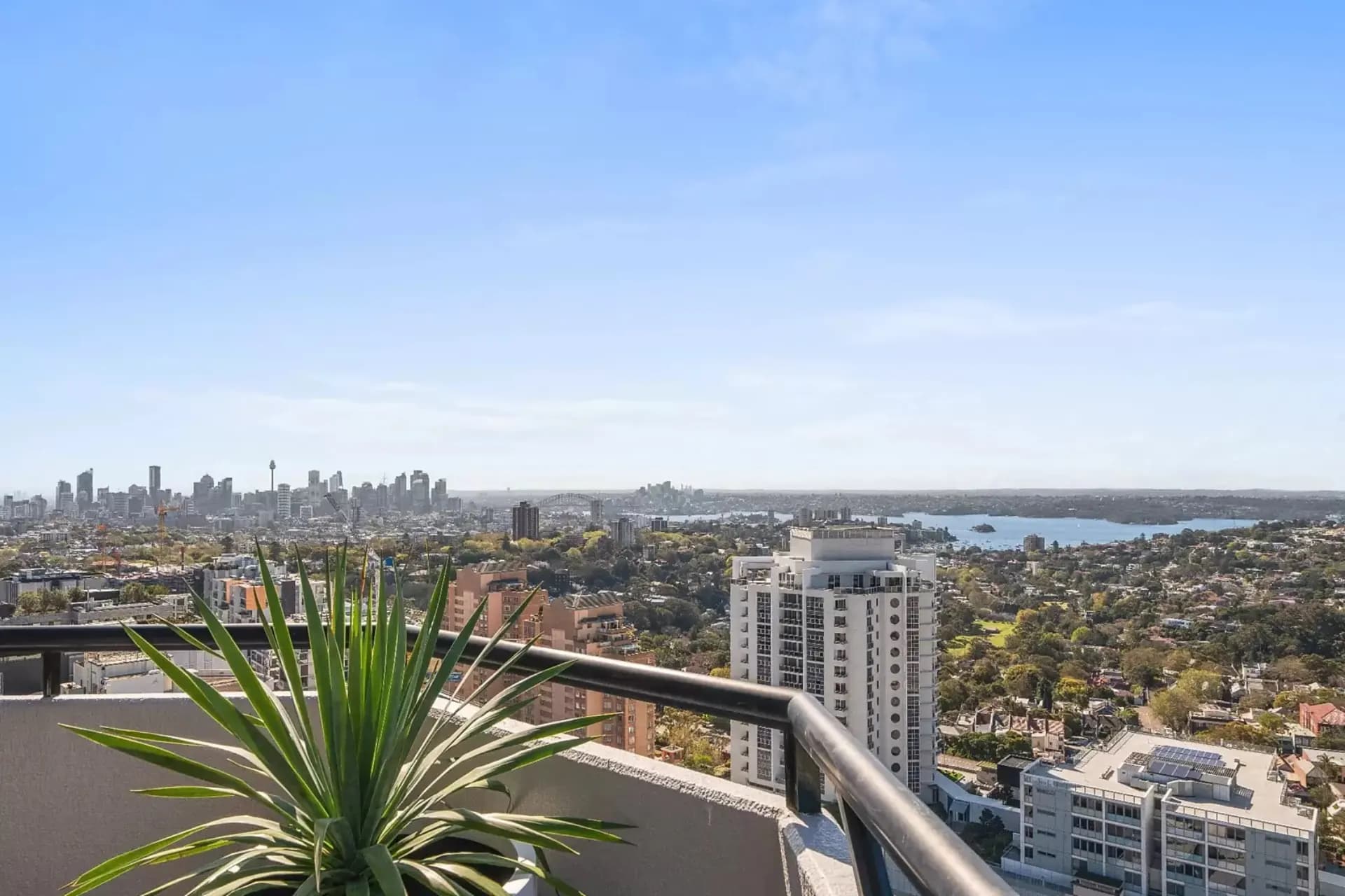 2804/83-85 Spring Street, Bondi Junction - Thumbnail 3