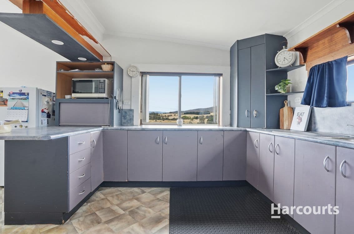 16 Ringarooma Road, SCOTTSDALE, TAS 7260, Scottsdale - Thumbnail 3