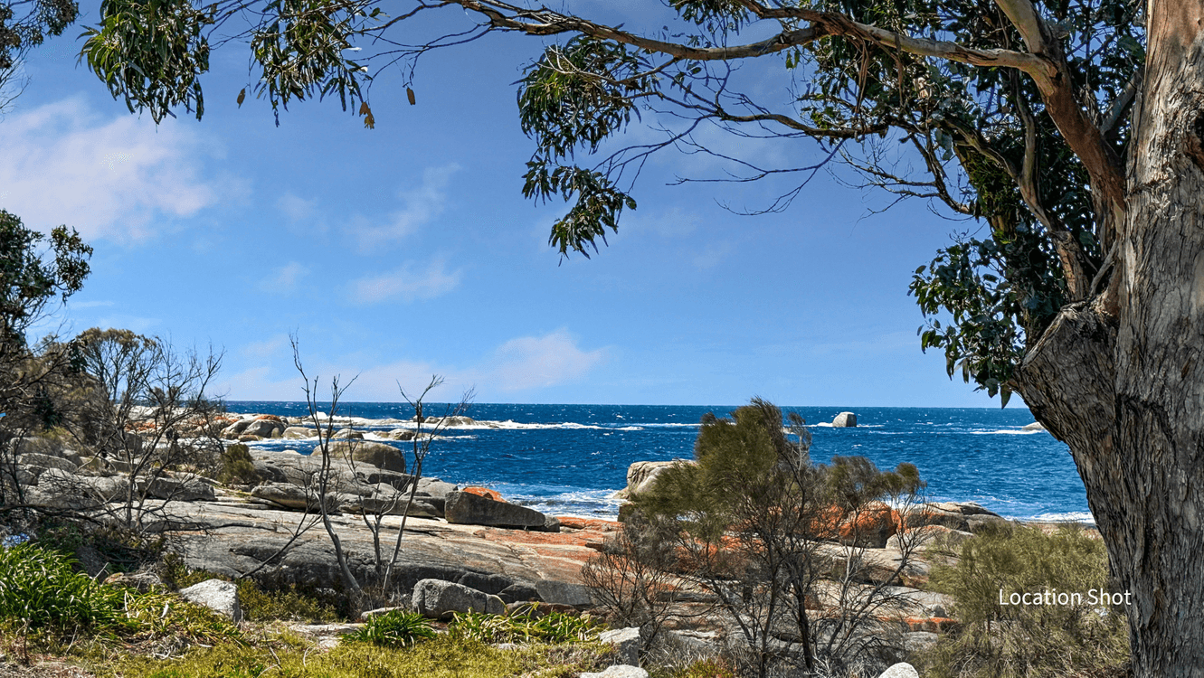 31 Douglas Street, BICHENO, TAS 7215, Bicheno - Thumbnail 8