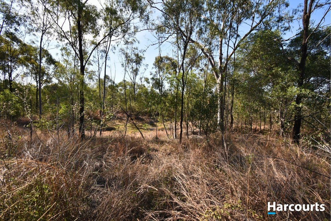 Lot 18 Horsecamp Road, HORSE CAMP, QLD 4671, Horse Camp - Thumbnail 6