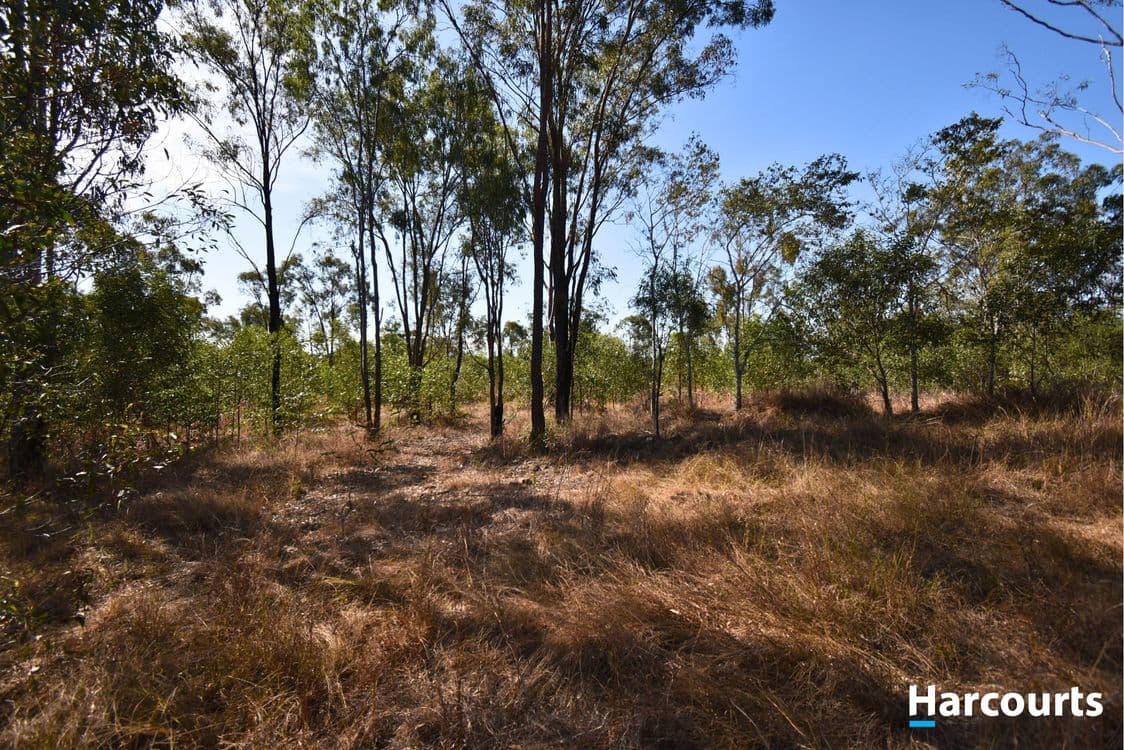 Lot 18 Horsecamp Road, HORSE CAMP, QLD 4671, Horse Camp - Thumbnail 7