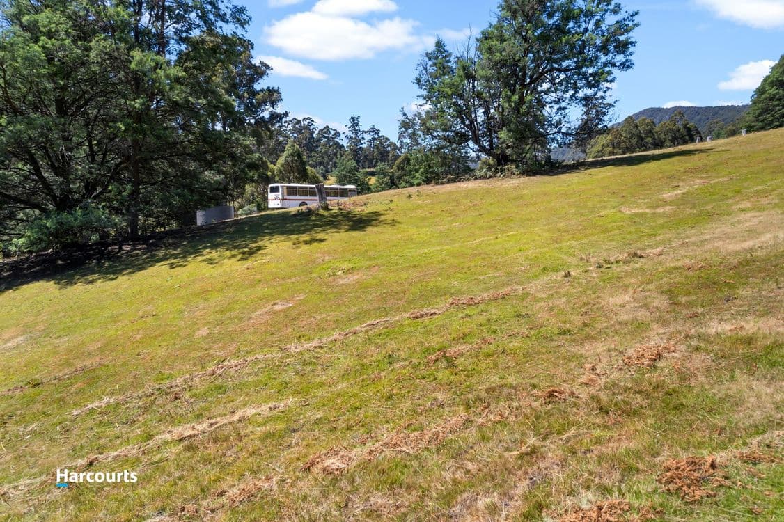 90 Coal Mine Road, GARDNERS BAY, TAS 7112, Gardners Bay - Thumbnail 7