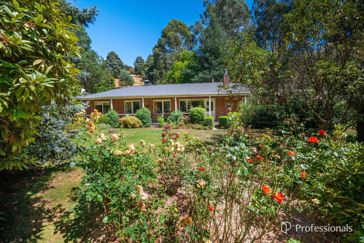 20 Daveys Lane, Hoddles Creek VIC 3139, Hoddles Creek - Image 1