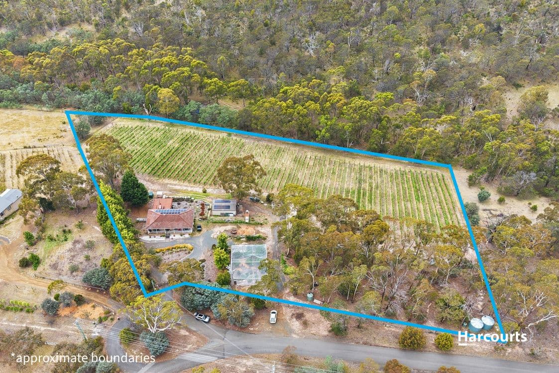 103 Centauri Drive, MOUNT RUMNEY, TAS 7170, Mount Rumney - Thumbnail 4