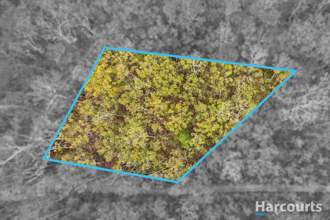 Casino Crescent, North Arm Cove, NSW 2324, North Arm Cove - Thumbnail 2