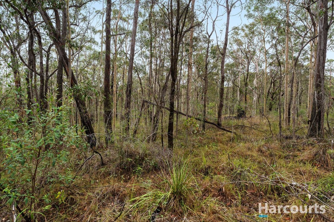 Casino Crescent, North Arm Cove, NSW 2324, North Arm Cove - Thumbnail 4