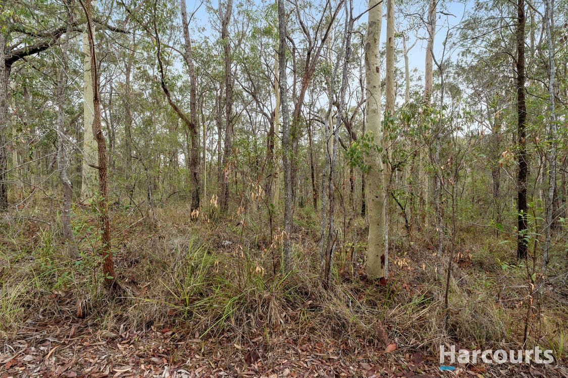 Casino Crescent, North Arm Cove, NSW 2324, North Arm Cove - Thumbnail 5