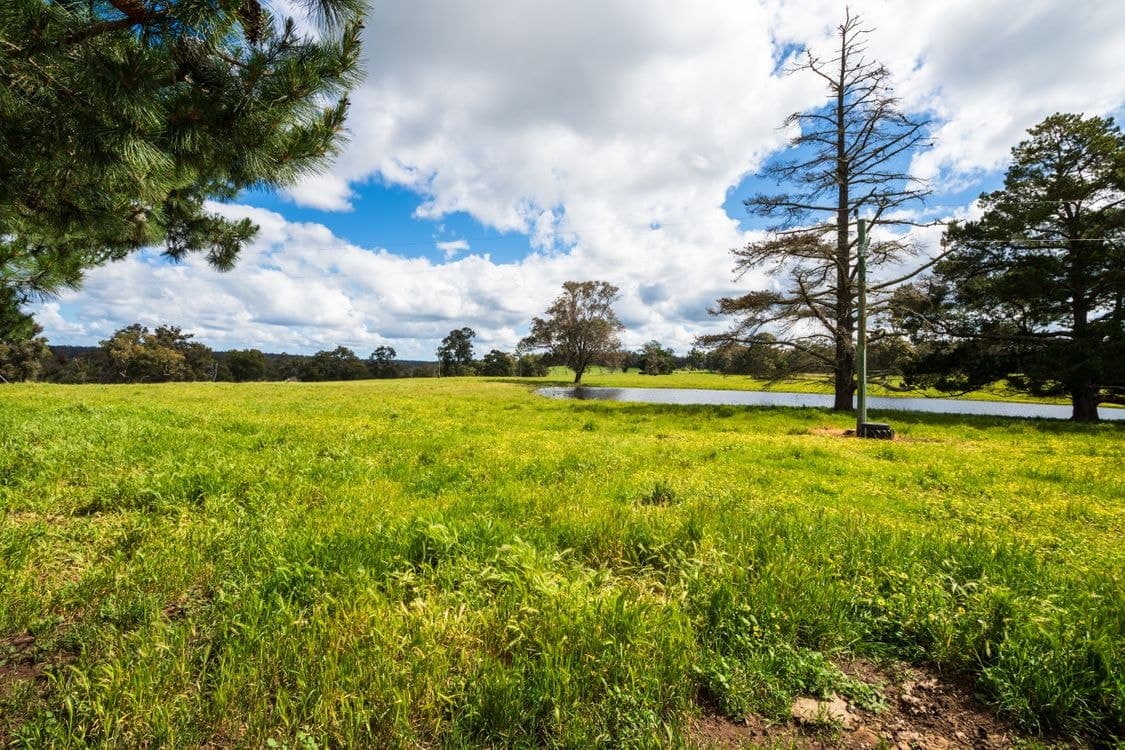 2646 Muir Highway (Upper Warren), MANJIMUP, WA 6258, Manjimup - Thumbnail 3