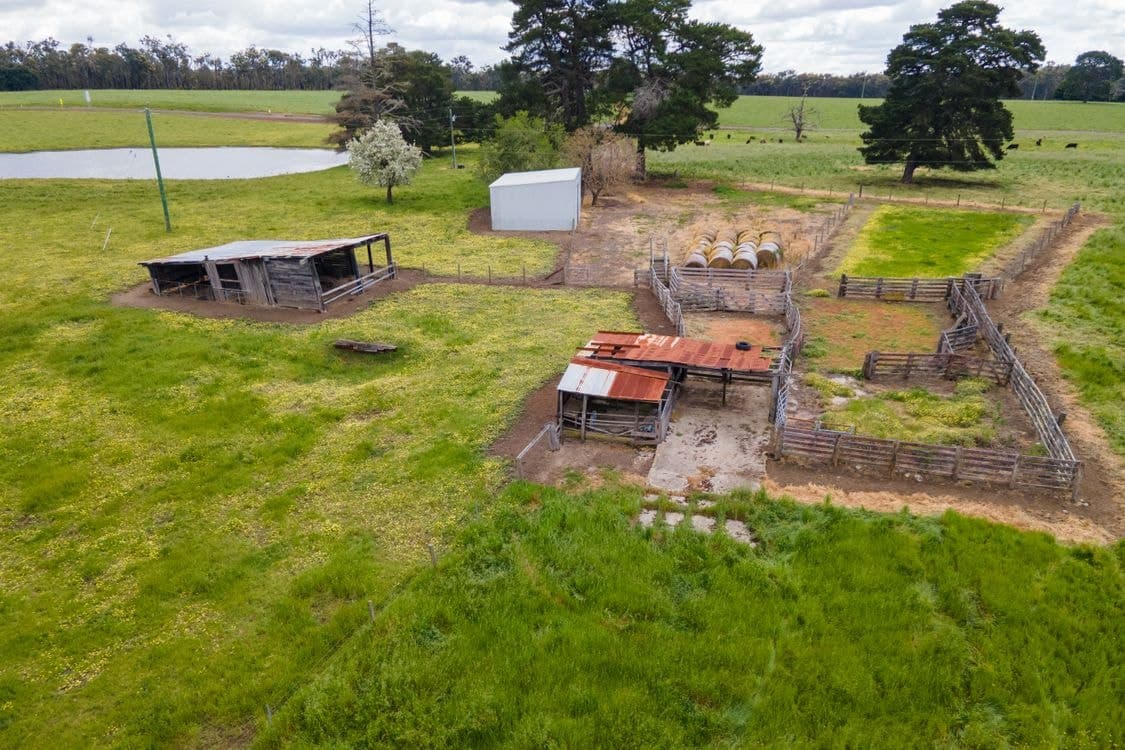 2646 Muir Highway (Upper Warren), MANJIMUP, WA 6258, Manjimup - Thumbnail 5