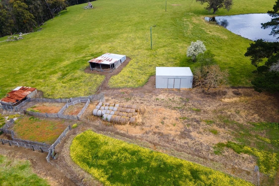 2646 Muir Highway (Upper Warren), MANJIMUP, WA 6258, Manjimup - Thumbnail 6