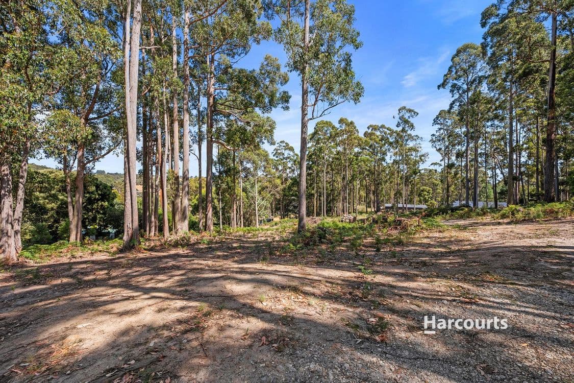 39 Wattle Valley Road, ACACIA HILLS, TAS 7306, Acacia Hills - Thumbnail 3