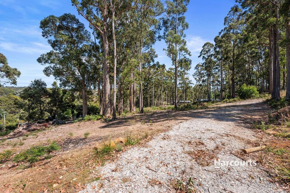 39 Wattle Valley Road, ACACIA HILLS, TAS 7306, Acacia Hills - Thumbnail 4