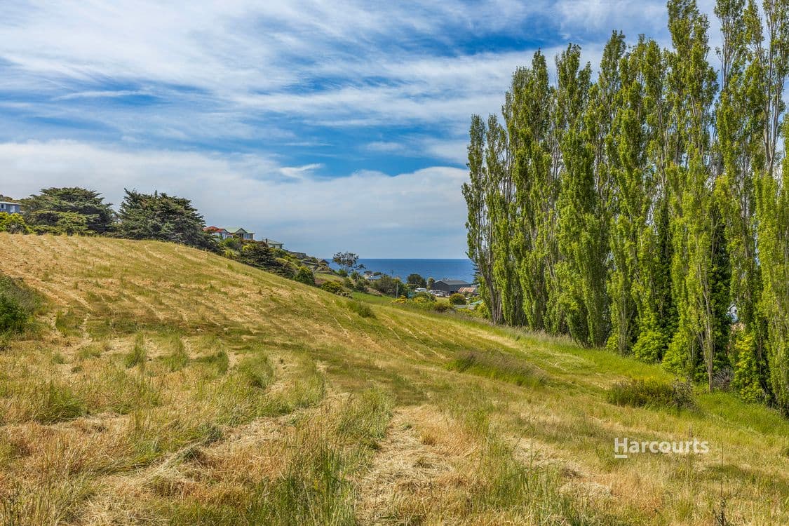 12 Preservation Drive, PENGUIN, TAS 7316, Penguin - Thumbnail 3