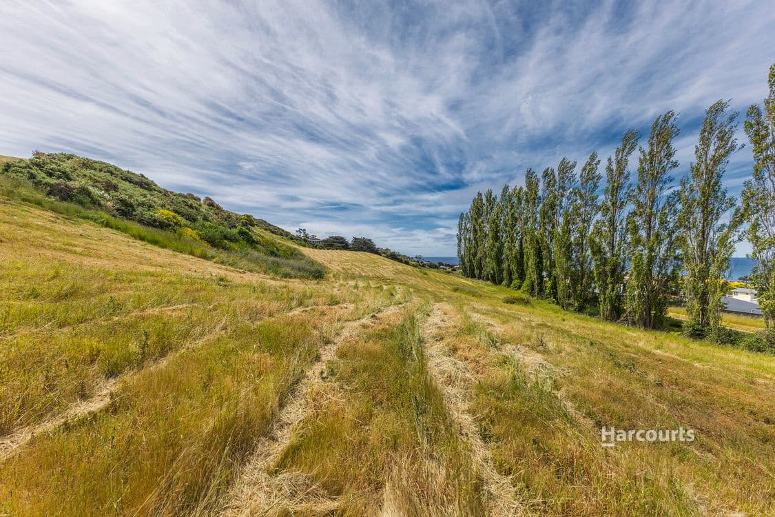 12 Preservation Drive, PENGUIN, TAS 7316, Penguin - Thumbnail 4