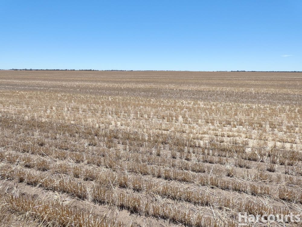 . Degenhardts Road, MURTOA, VIC 3390, Murtoa - Thumbnail 2