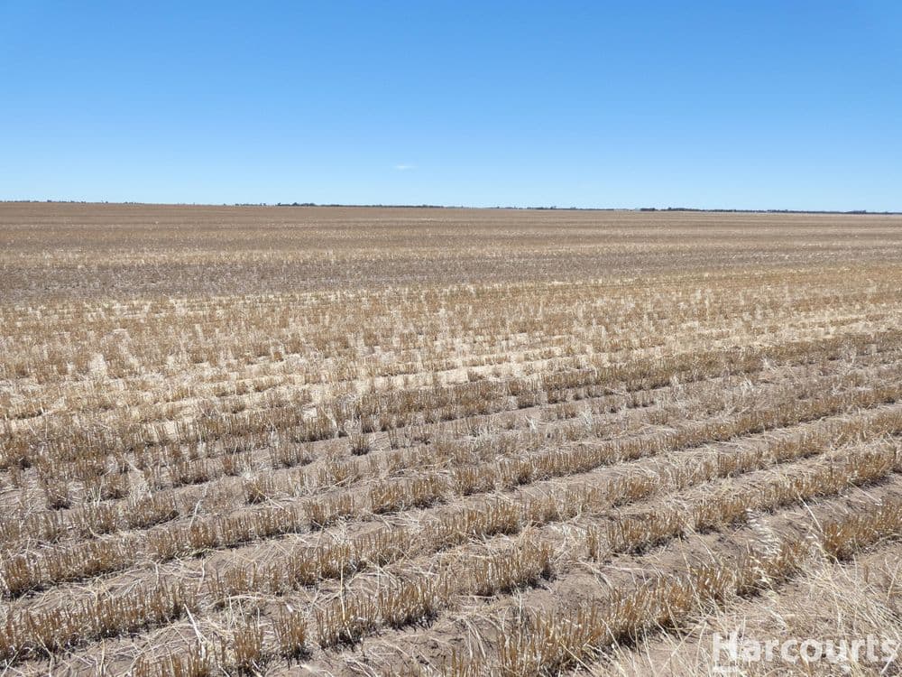 . Degenhardts Road, MURTOA, VIC 3390, Murtoa - Thumbnail 6