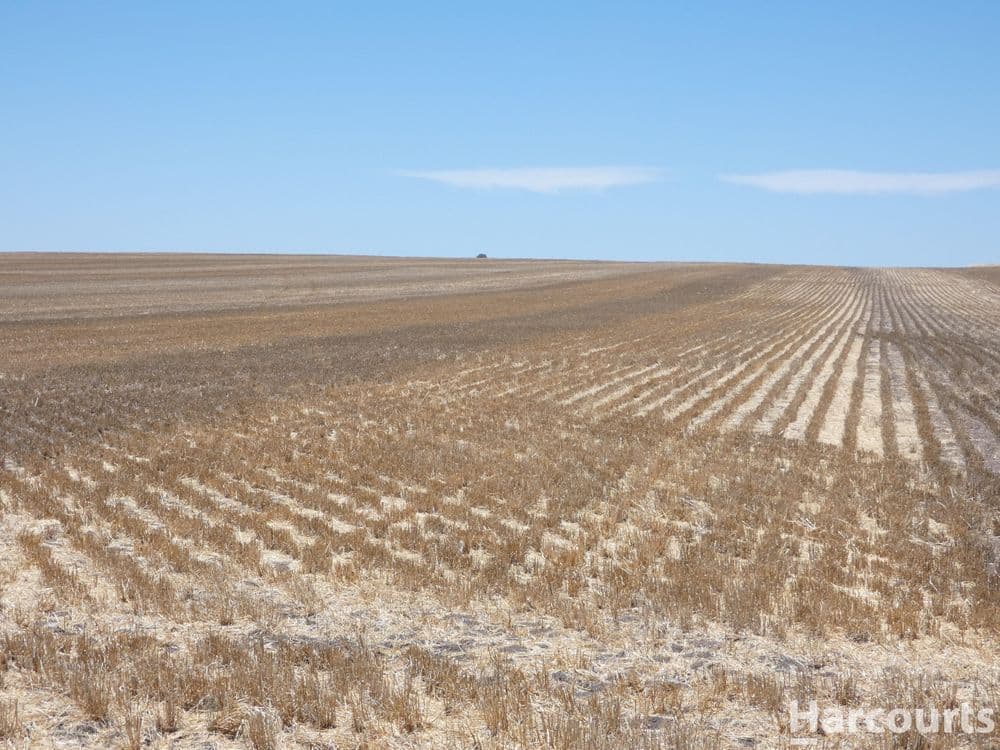 . Degenhardts Road, MURTOA, VIC 3390, Murtoa - Thumbnail 7