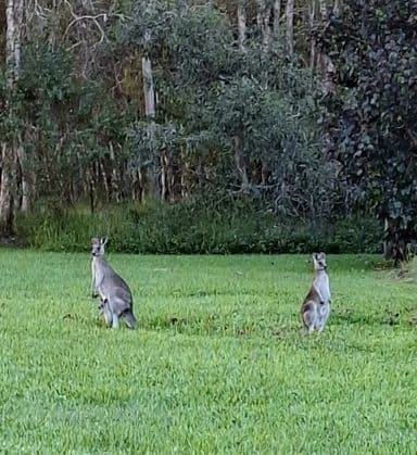 15 Laser Court, Burpengary East, QLD 4505, Burpengary East - Image 1