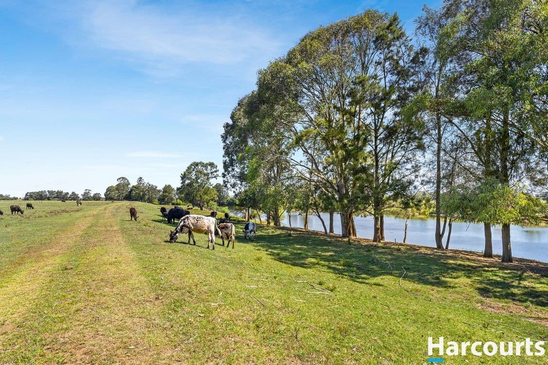 34 Market Street, Hinton, NSW 2321, Hinton - Thumbnail 2